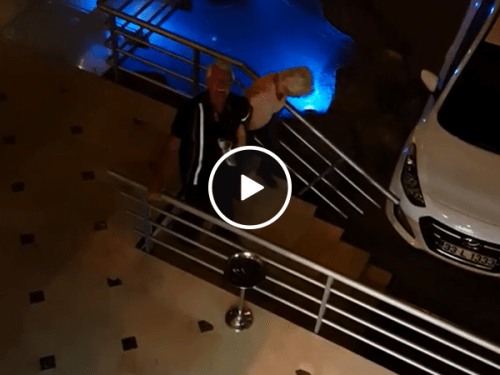 Tipsy grandparents take a tumble on the way to car (Video)