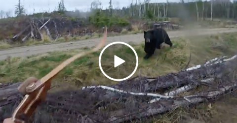 Black bear charges man, shows what certain death looks like (Video)