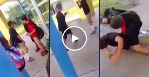 Bully picks a fight with a smaller kid... who knows MMA (Video)