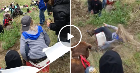 Girl tries riding cooler down hill and goes for a tumble