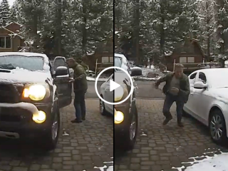 Guy hears his truck horn honking, finds unexpected surprise inside (Video)