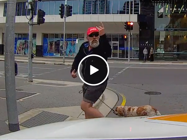 Angry pedestrian gets instant karma (Video)