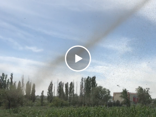 This tornado isn't what you think it is (Video)