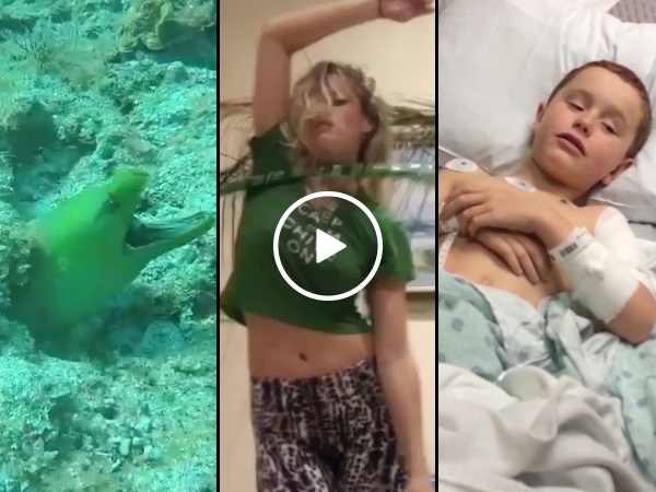 Top 5 User-Submits of April (Video)