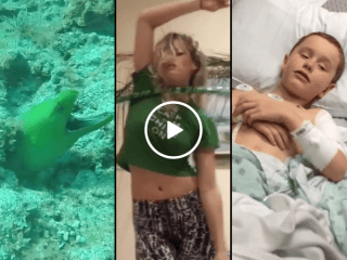 Top 5 User-Submits of April (Video)