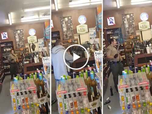 Policeman in liquor store catches a peacock (Video)