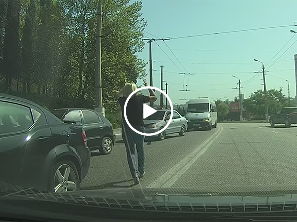 Small kitten escapes car