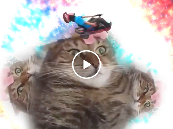 The internet has reached its full potential with 'Forever Spinning GoCart Kid' edit (Video)