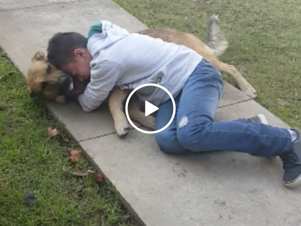 Boy is reunited with his lost dog. THE TEARS ARE REAL! (VIDEO)