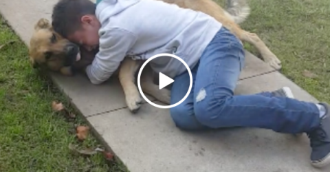 Boy is reunited with his lost dog. THE TEARS ARE REAL! (VIDEO)