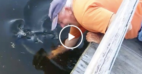 Guy catches fish with bare hands