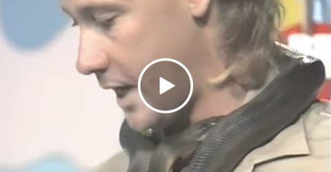Snake bites Steve Irwin on live television