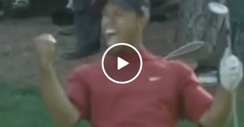 In case you forgot just how awesome Tiger Woods was at golf