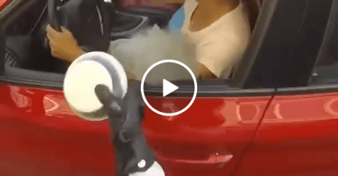 This girl on motorcycle is a litterbugs worst nightmare (Video)