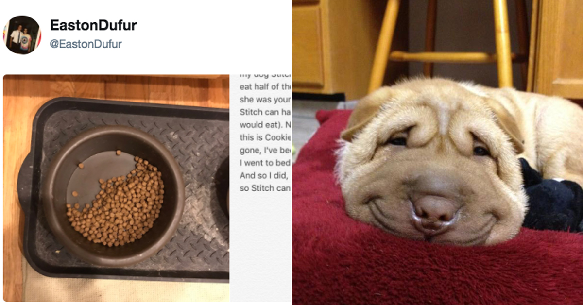 Dog only eats half food left in bowl after his buddy passes away