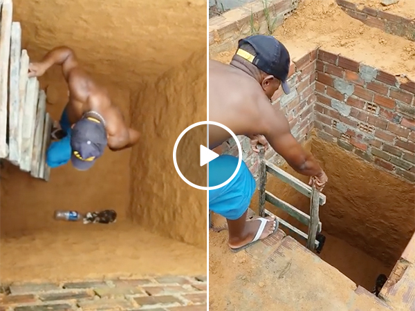 Cat fools a man who tries to save it