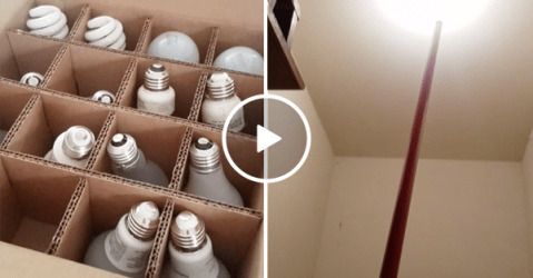 Guy comes up with ingenious NSFW way to change lightbulb (Video)