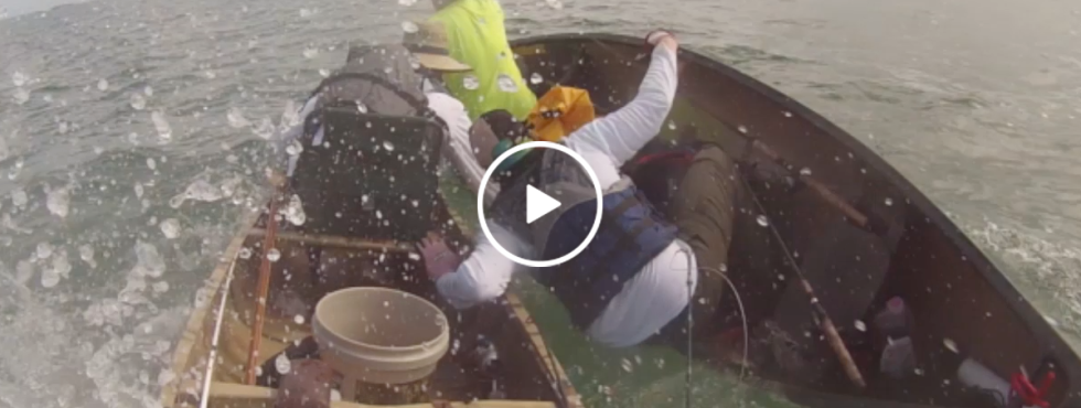 Huge bull shark attacks guys fishing on canoes