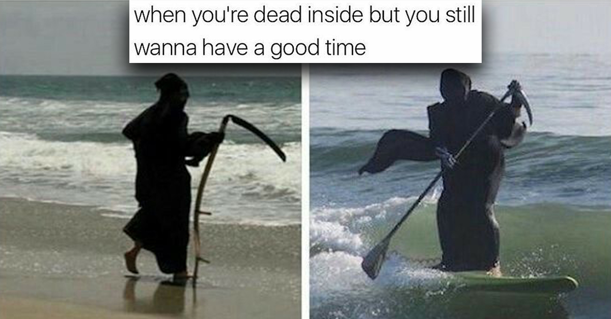 Catch these funny surfing memes theCHIVE