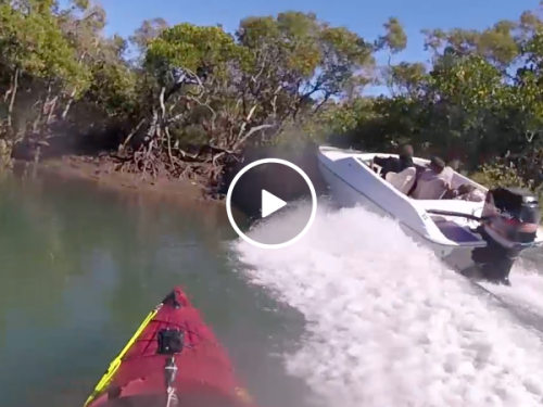 Speedboat almost takes out kayaker fishing in silence