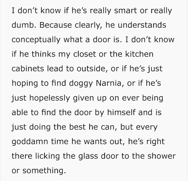 Dog licks door when he wants to go out, gets confused when they move