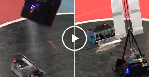 This is what battle bots on crack looks like (Video)