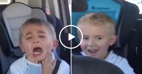 Brothers react to them getting a new sibling