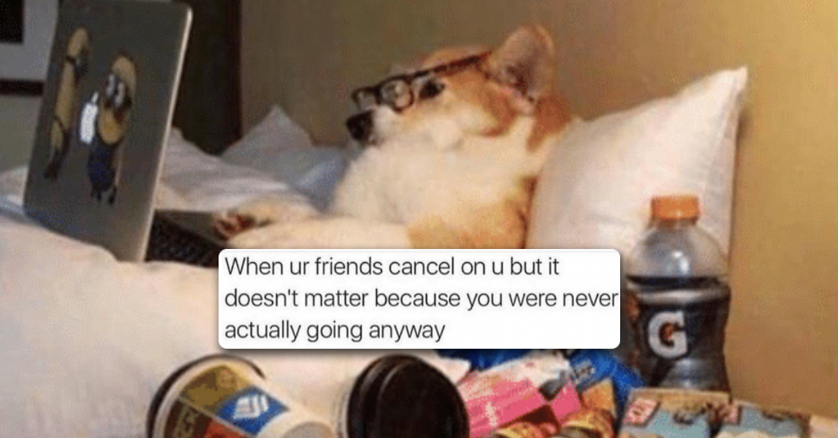 Memes That Perfectly Sum Up Being An Adult 28 Photos