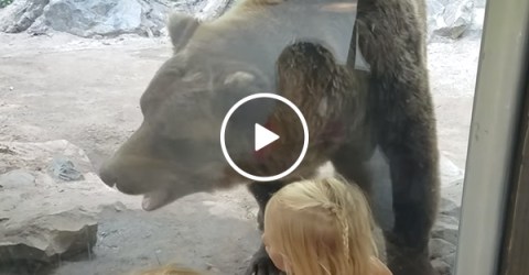 Bear takes a poop in front of kids