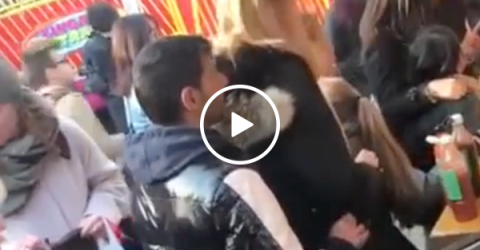 Pickpocket put in a chokehold of justice (Video)