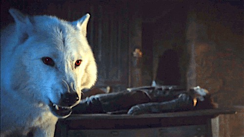 Game Of Thrones Theory Suggests The Stark Direwolves Names Predict The Fate Of Dany S Dragons Thechive