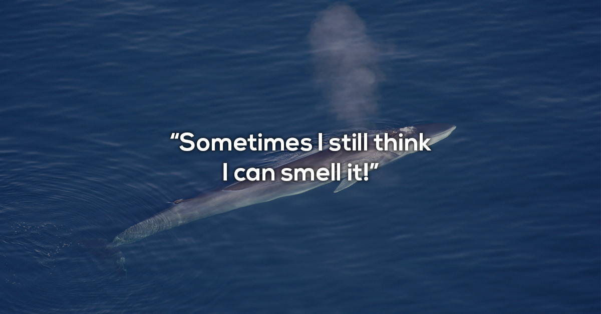 Scientists share the worst natural smells on earth theCHIVE