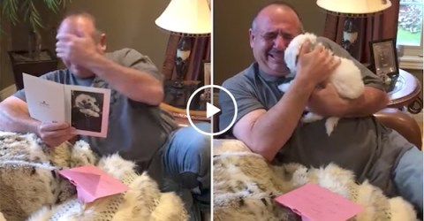 Man mourning dead dogs gets the awesome gift of a new friend