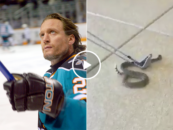Jeremy Roenick takes terrible approach to picking up a rattlesnake