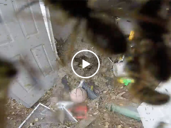 Wasp extermination is shed full of NOPE (Video)