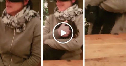 Scared mum with VR headset cuddles dogs rear end (Video)