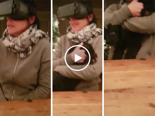 Scared mum with VR headset cuddles dogs rear end (Video)