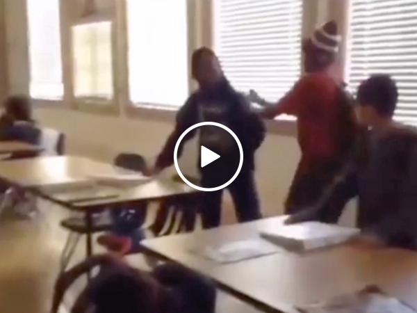 Little kid snaps on bully (Video)