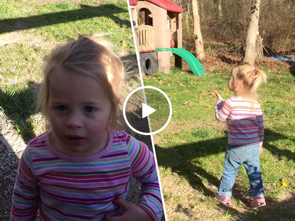 Adorable little girl can't say wood pecker (Video)