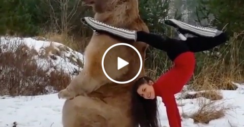 Dancing Girl Risks Her Life With A Huge Grizzly Bear In the Snow
