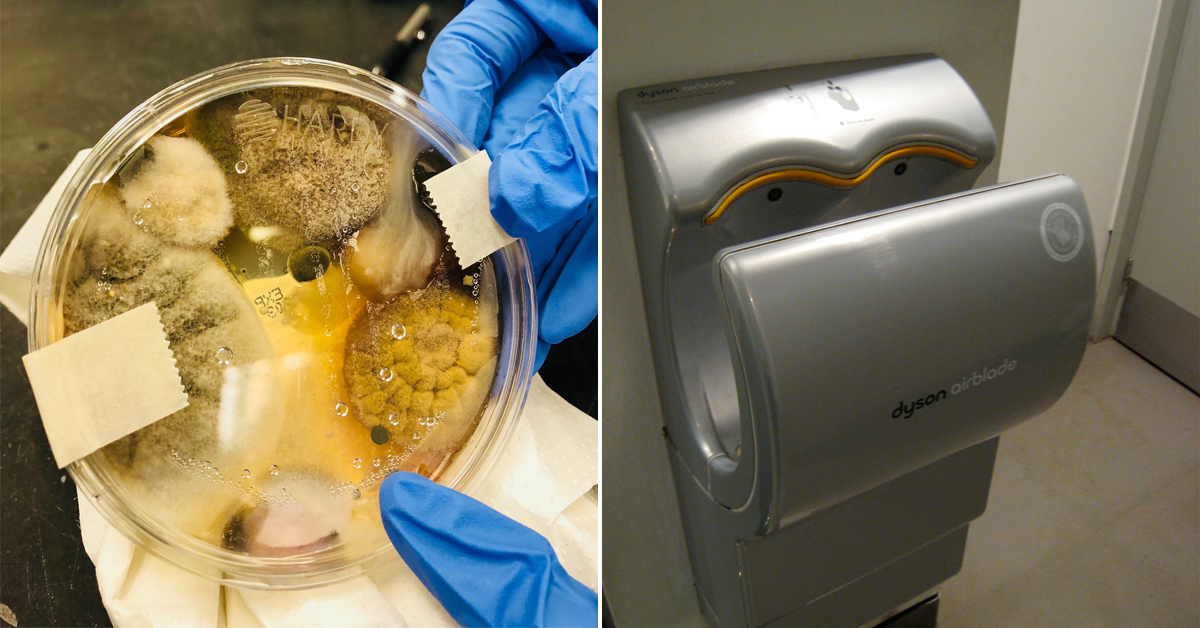 Electric hand dryers have a huge amount of bacteria