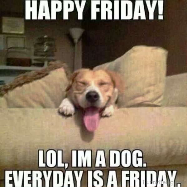 Happy Friday Funny Meme