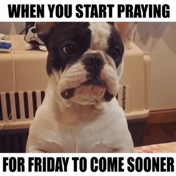 Friday memes that will remind you of the fun roller coaster ahead