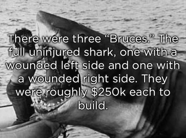 Unusual facts about Bruce, the shark from Jaws