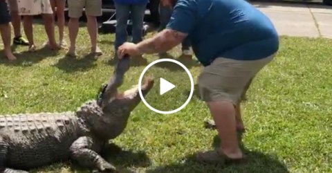 Louisiana 'Gator King' uses massive live alligator for gender reveal