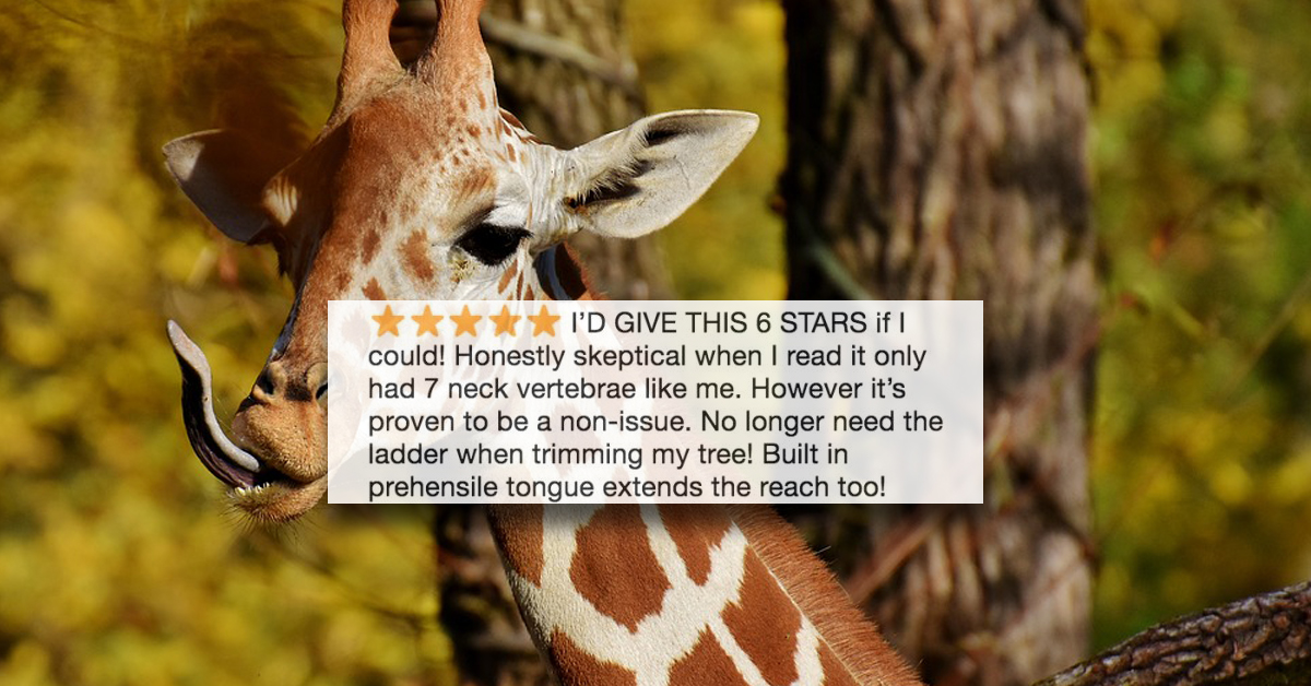 Zoo animals getting their own Amazon reviews is pure gold