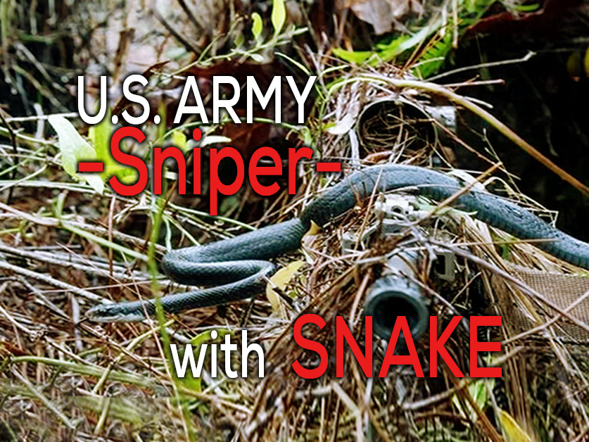 Snake on Sniper Awesome Photo 2018 US Army Pfc. William Snyde theChive