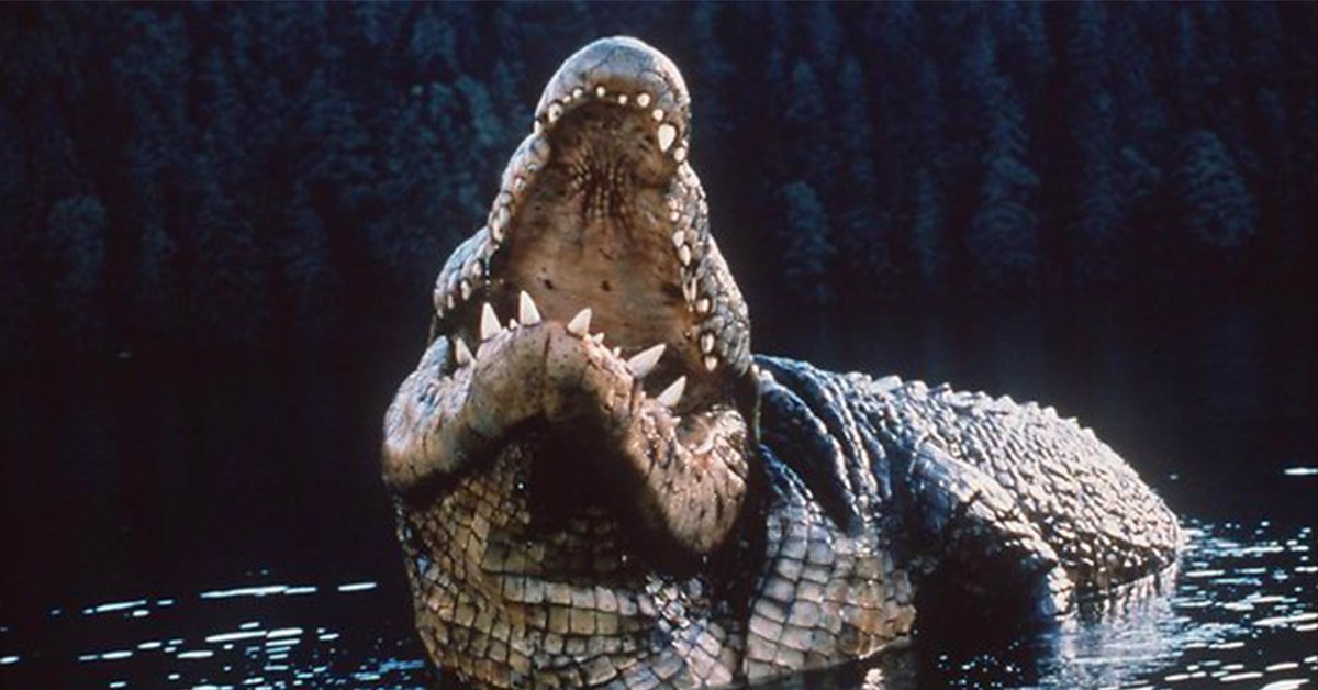 Gustave The Crocodile Gustave The Crocodile