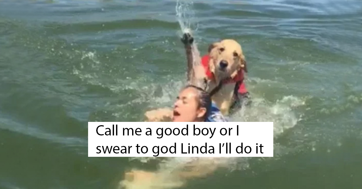 Dog Attempts To Drown Owner’s Sister, But Is Still A Good Boy (18 ...