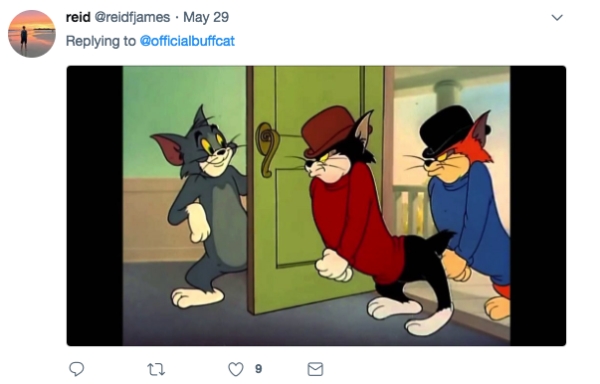 'Swol Cat' Is the Buff Cat The Internet Deserves